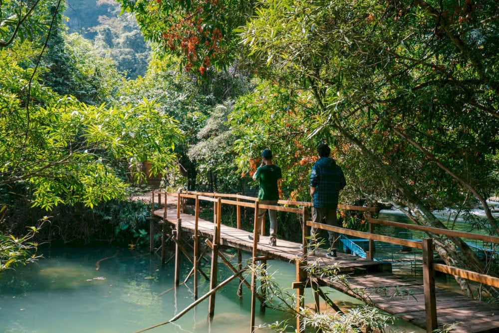 With its lush vegetation and vibrant wildlife, the spring serves as a perfect backdrop for nature photography